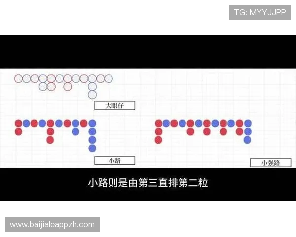 掌握百家乐下三路的投注技巧,轻松应对各种游戏局势实现稳健盈利