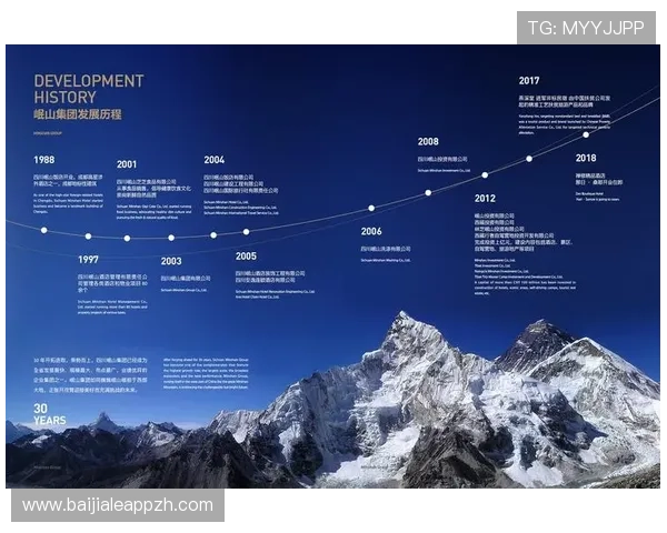 关于db真人公司的详细资料与发展历程全面解读
