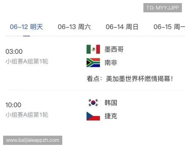 2026年美加墨世界杯官网中文指南：详细介绍中国球迷观赛攻略、签证办理及相关注意事项